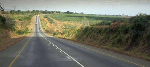 Sisal sur la route de Dar es Salaam.