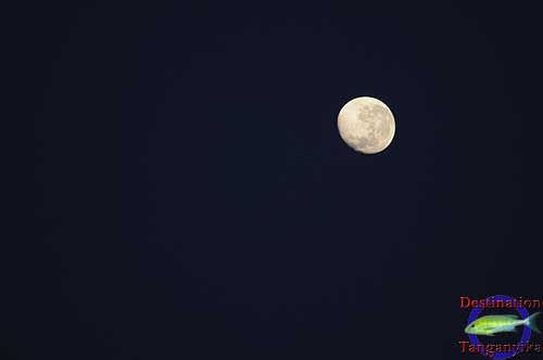 Clair de lune � Muzi.