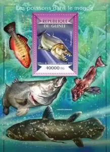 Timbre de Guin&eacute;e.