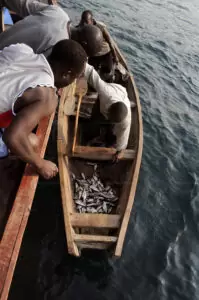 Pêcheurs de Namansi et le fruit de leur pêche, profonde, de la journée. Pêcheurs & Hemibates