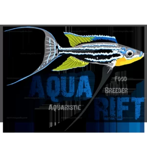 Aquarikft