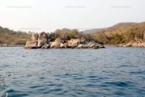 namansi reef