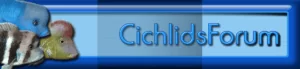 Liens et Favoris 11 site logo