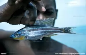 628