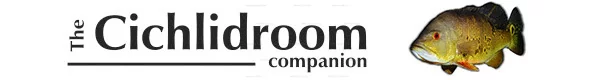 cichlidroomcompanion