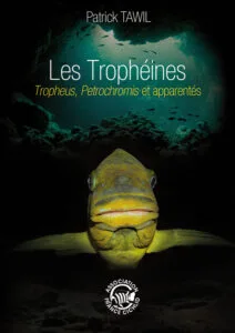 Les Tropheini