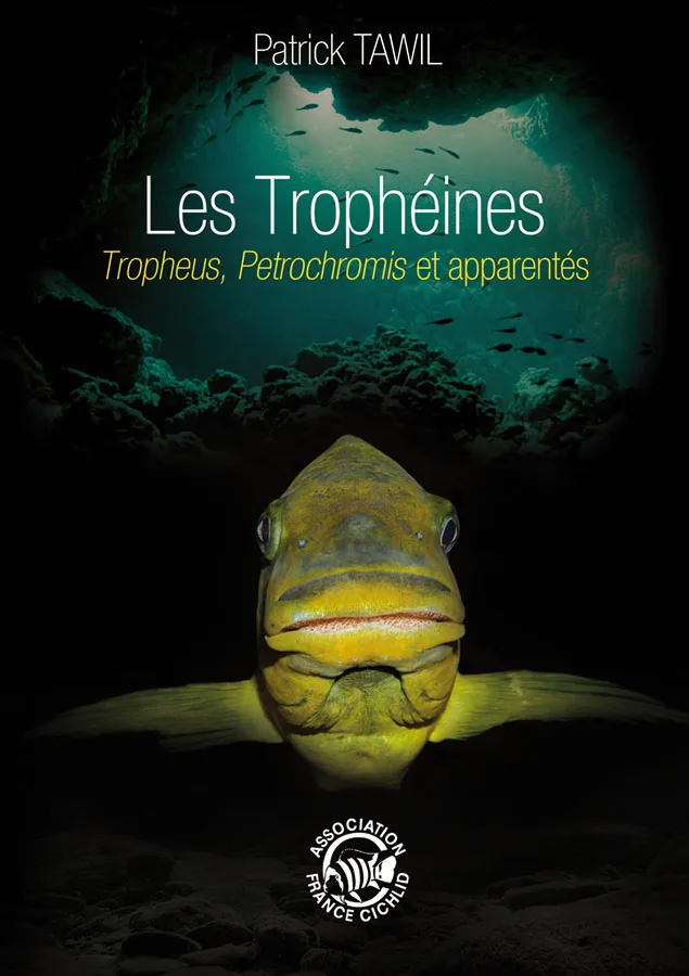 couverture tropheini afc