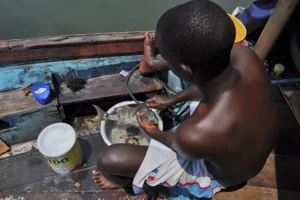Kuhe au repas à Muzi. Kuhe au repas à Muzi.