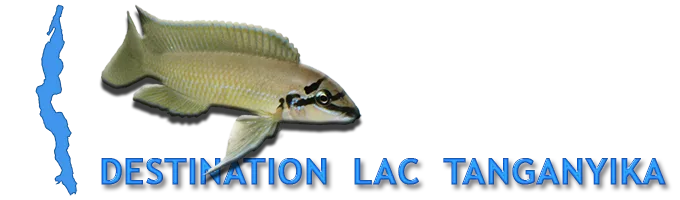 Destination Lac Tanganyika