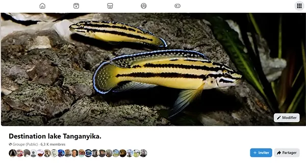Destination lac Tanganyika sur Facebook Destination lac Tanganyika sur Facebook