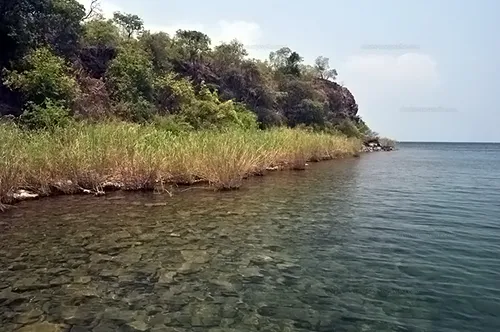 maswa 2