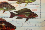 Cunningtonia longiventralis