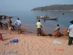 P&ecirc;che du B. microlepis
