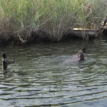 Enfants pêcheurs à Maswa. 3915525161