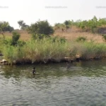 Piroguier, et enfant pêcheurs. 3046253725